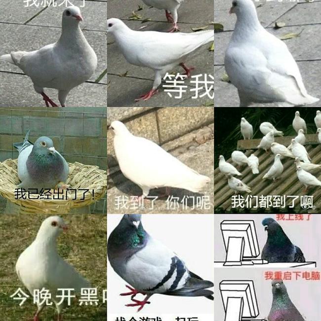 篮球事件历史假球视频_篮球最著名的假球事件_历史篮球假球事件