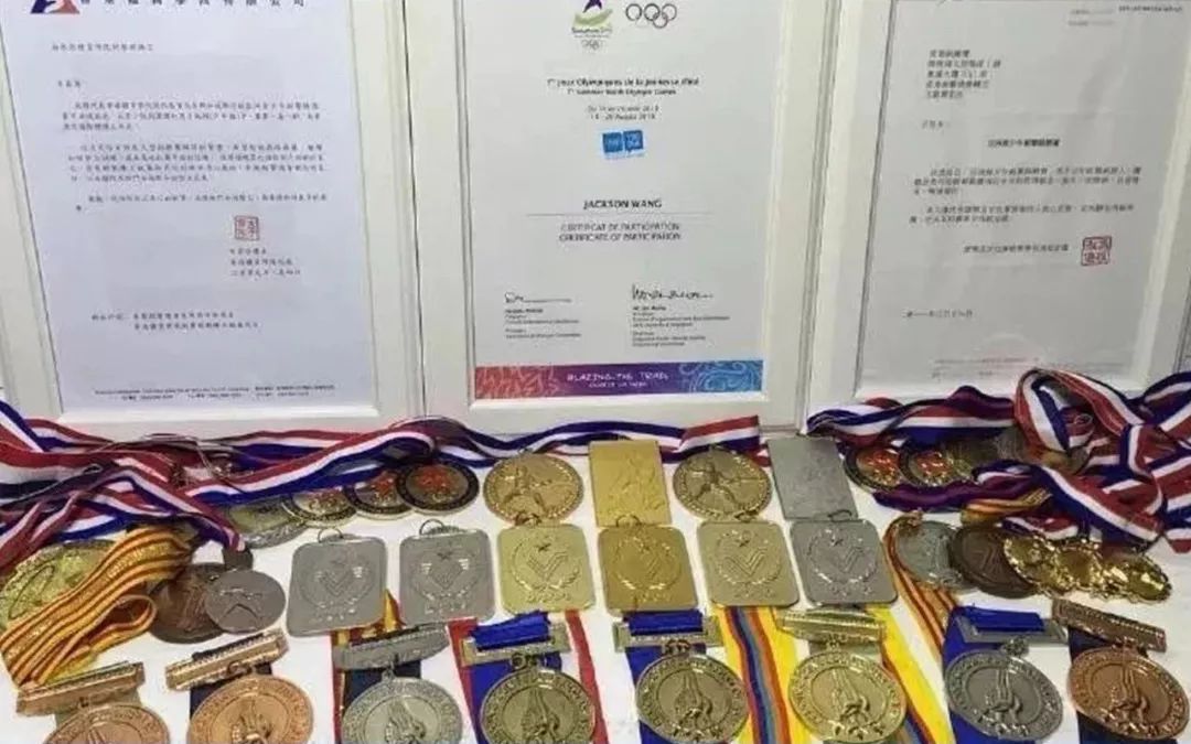 王嘉尔击剑世界排名_王嘉尔国家击剑运动员冠军_王嘉尔击剑世界冠军