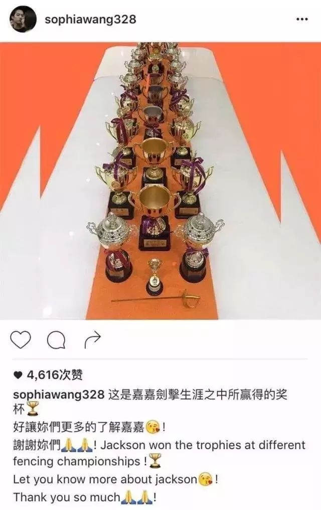 王嘉尔击剑世界排名_王嘉尔击剑世界冠军_王嘉尔国家击剑运动员冠军
