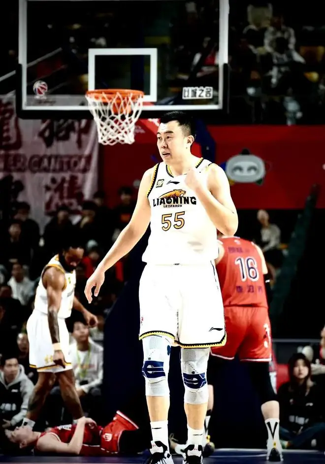 辽宁篮球队中锋_cba辽宁中锋_辽宁篮球冠军中锋是谁呀