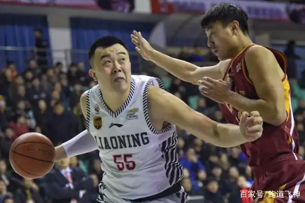 辽宁篮球队中锋_篮球辽宁中锋冠军是谁_辽宁篮球冠军中锋是谁呀