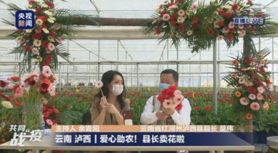 播放百科生活_百科直播间_生活百科直播