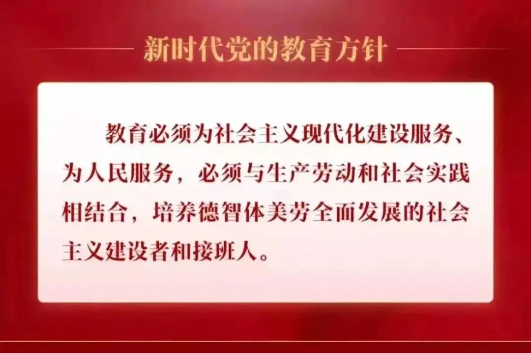 体操运动小学生_体操实践课教案_小学生综合实践体操